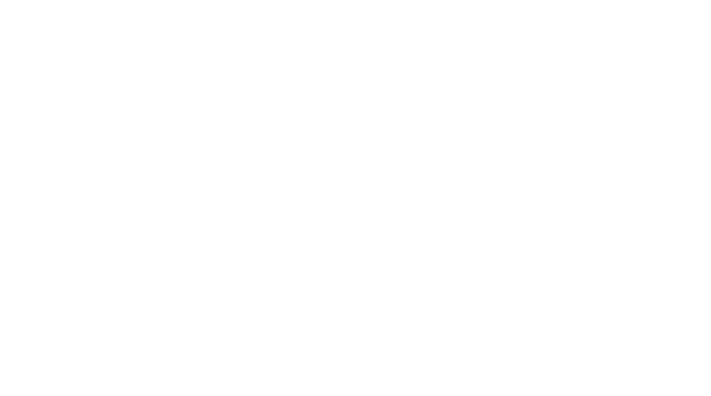 logo PLEO tripmaster